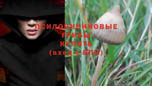 MESCALINE Баксан